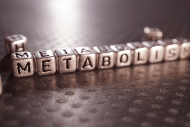metabolism